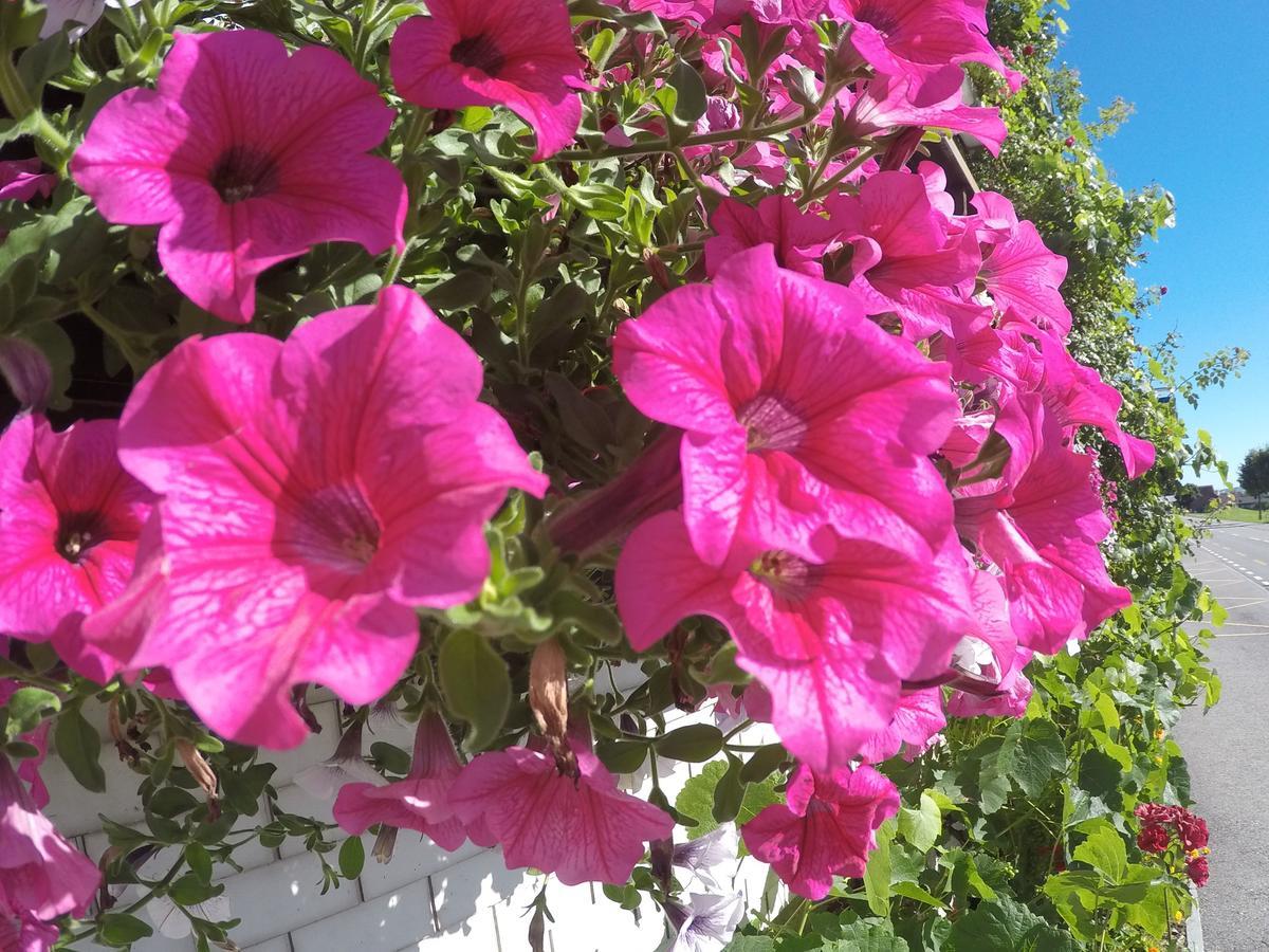 Hotel Garni Traube B&B Schwellbrunn Εξωτερικό φωτογραφία